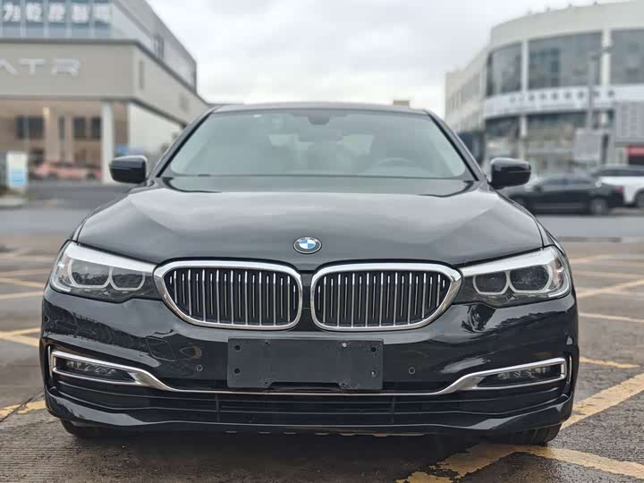 5 Series 2019 530Li Leading Luxury