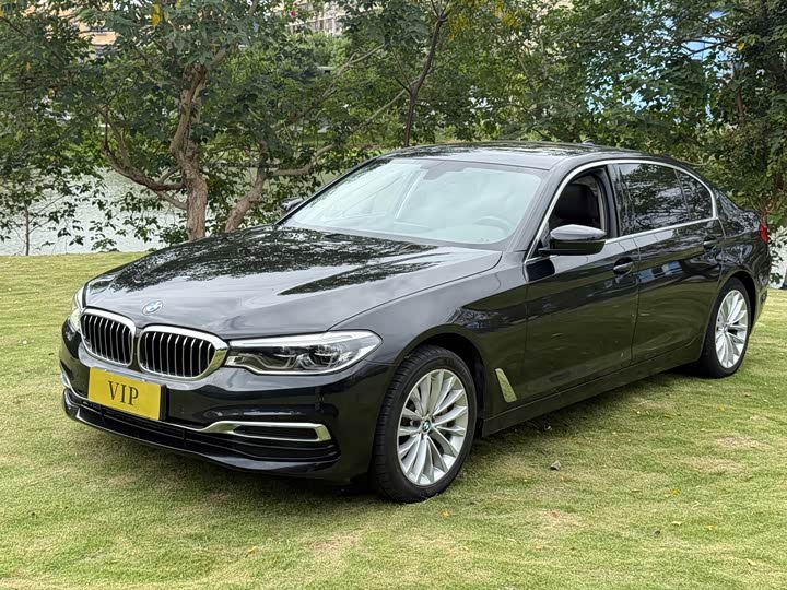5 Series 2020 530Li Leading Luxury