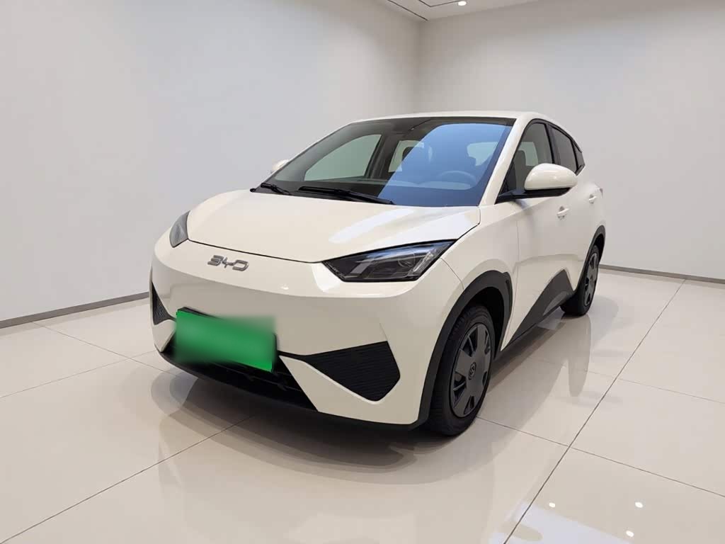 Seagull 2025 ADAS 305km