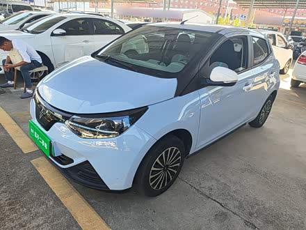 EV2 2024 201km Comfort