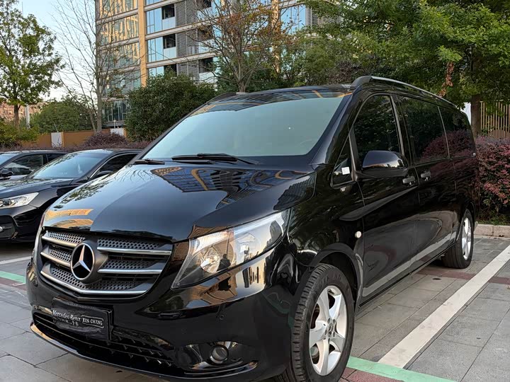 Vito 2018 2.0T Business China VI