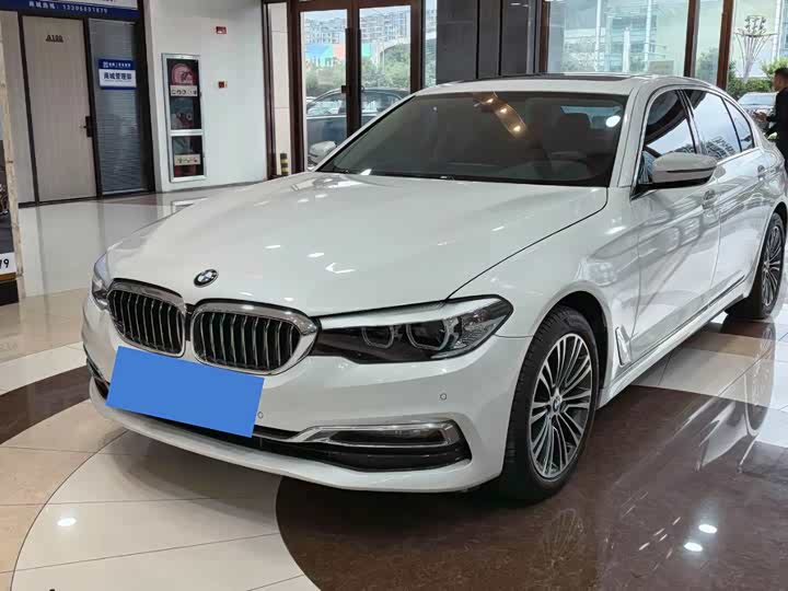 5 Series 2019 525Li Luxury