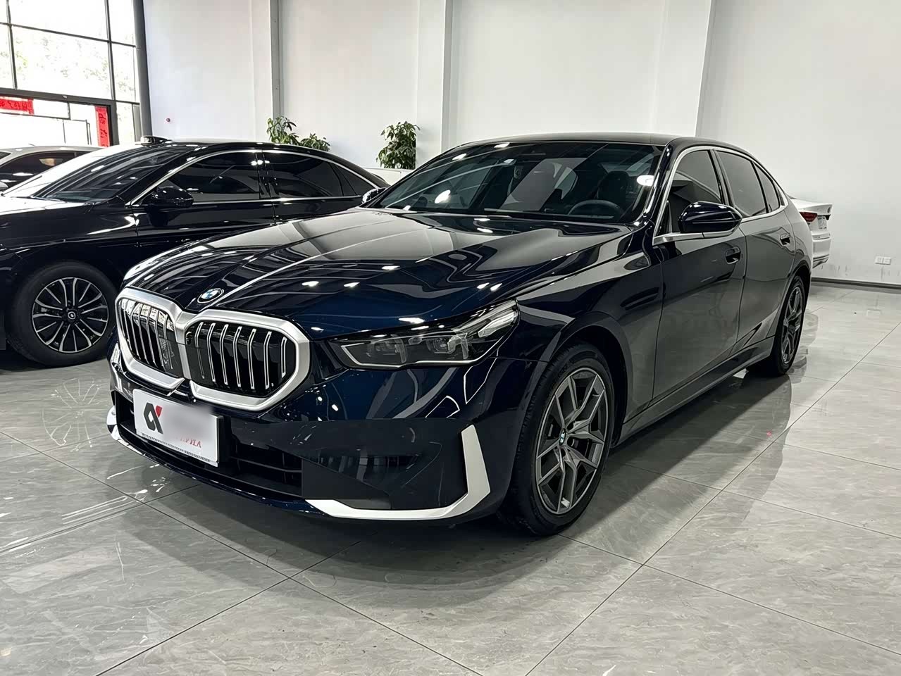 5 Series 2024 530Li Leading Luxury