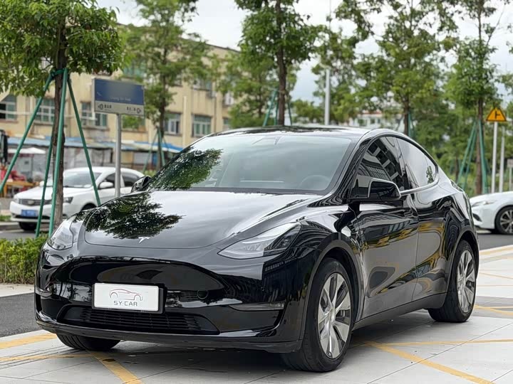 Model Y 2021 Standard Range RWD