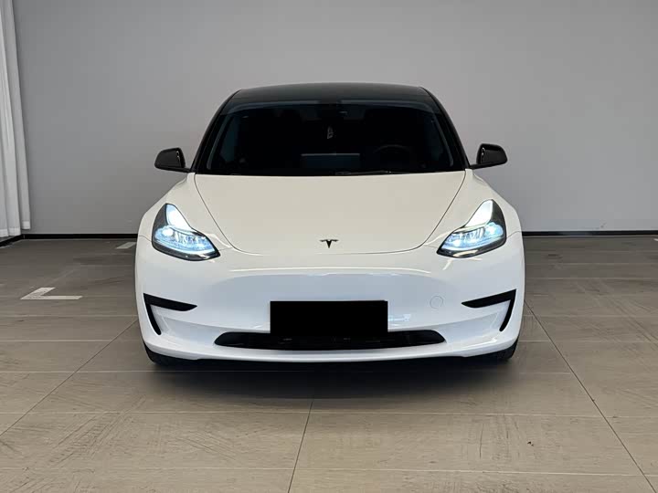 Model 3 2021 Facelift Standard Range RWD Upgraded 3D1
