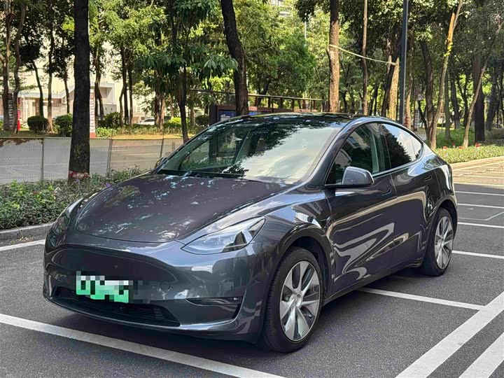 Model Y 2021 Standard Range RWD