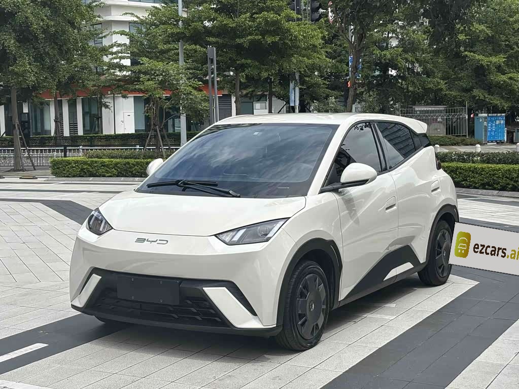 Seagull 2025 305km