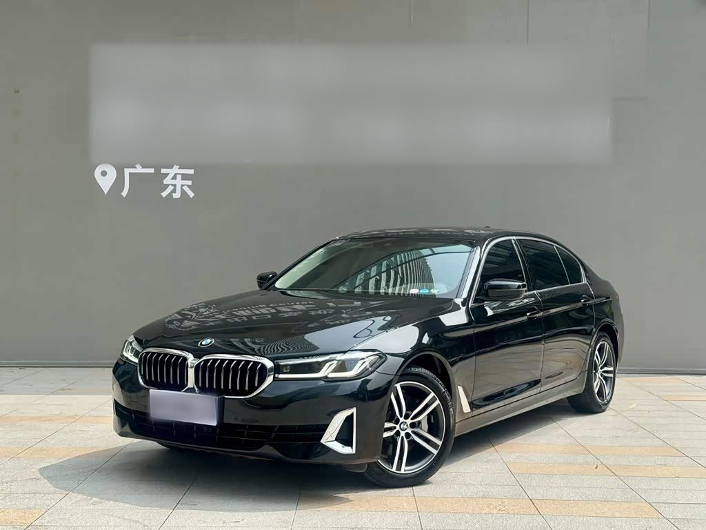 BMW5 Series 2021 530Li Leading Luxury