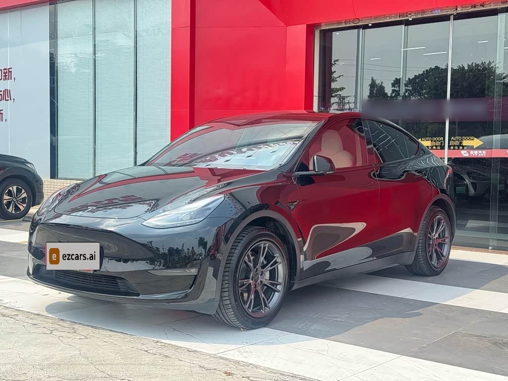 Model Y 2021 Standard Range RWD