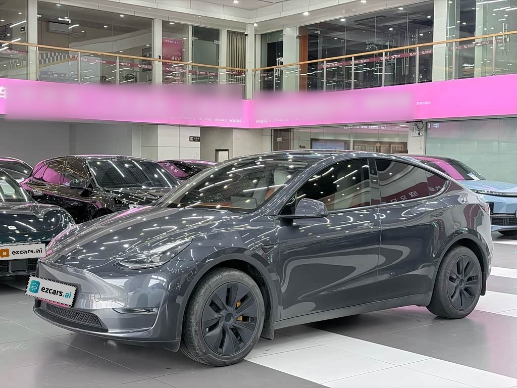 Model Y 2021 Standard Range RWD
