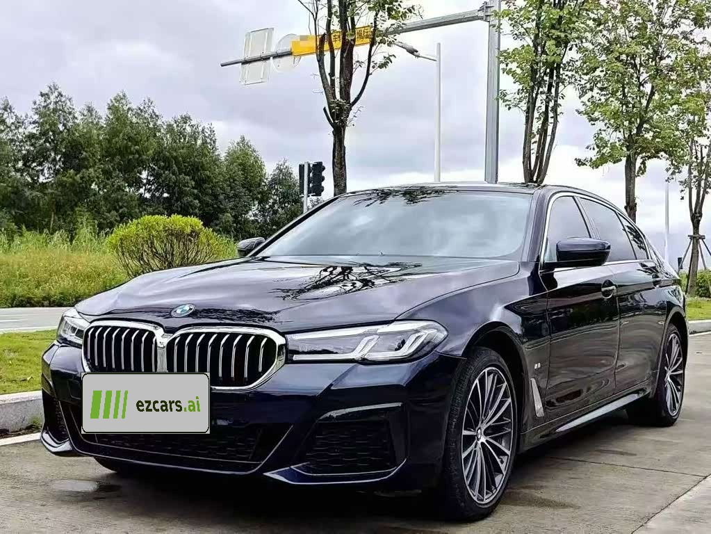 5 Series 2019 530Li Exclusive Luxury