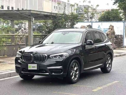X3 2020 xDrive25i Luxury