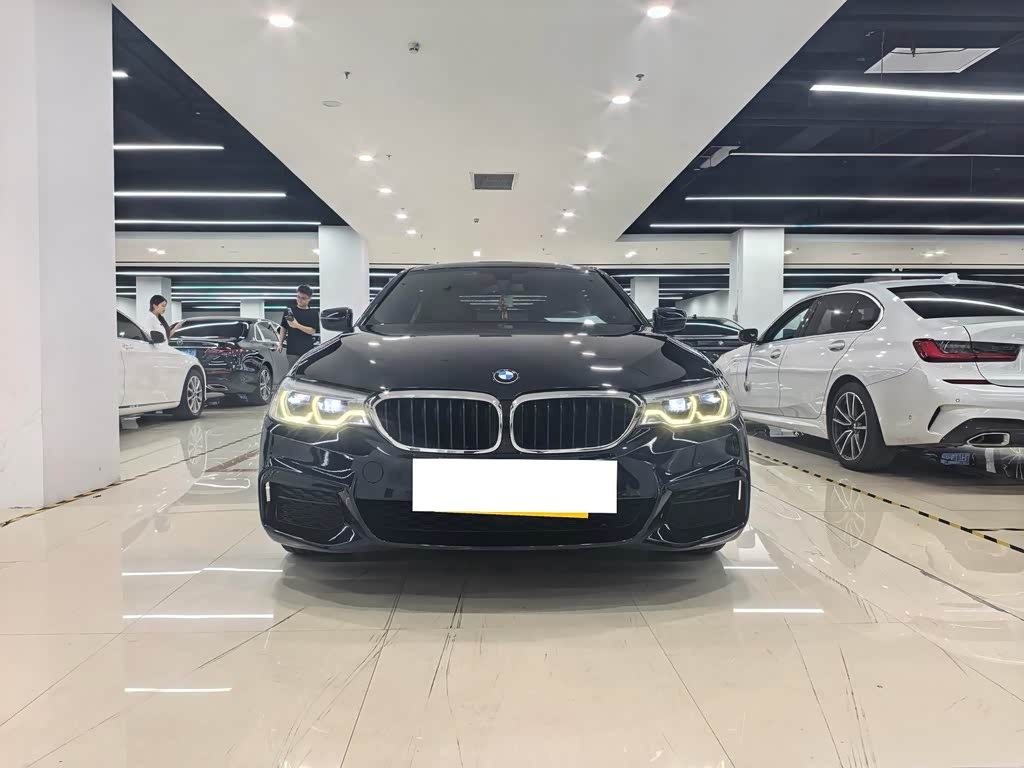 5 Series 2017 528Li Leading