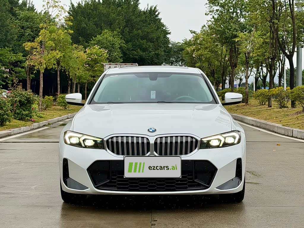 3 Series 2019 320Li Fashion