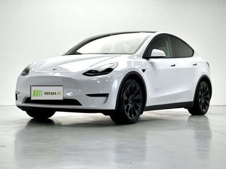 Model Y 2021 Long Range AWD