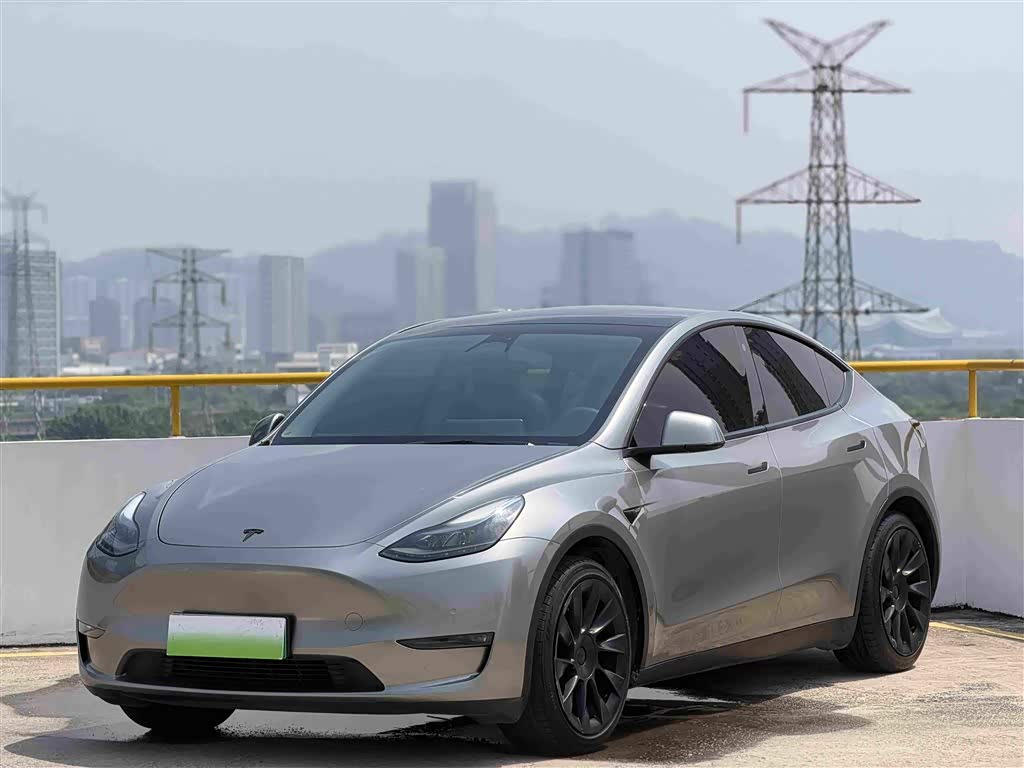 Model Y 2021 Standard Range RWD