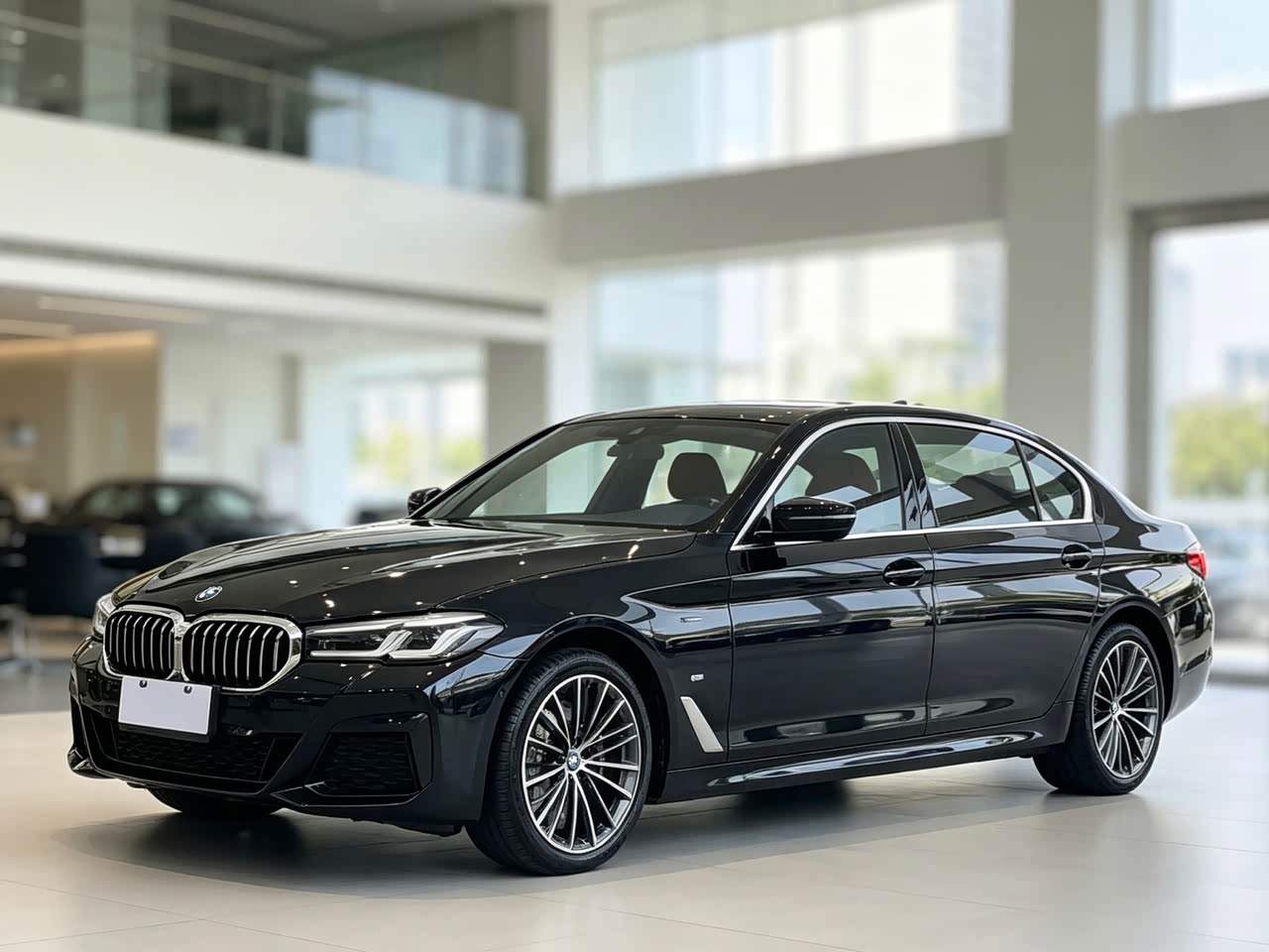 5 Series 2019 530Li Exclusive M Sport Package