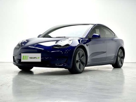 Model 3 2021 Standard Range RWD Upgraded