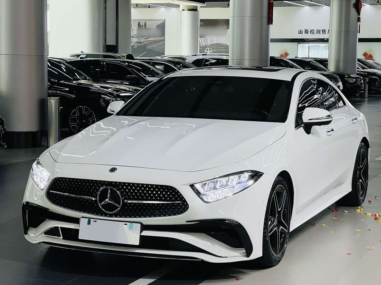CLS 2018 CLS 300 Dynamic