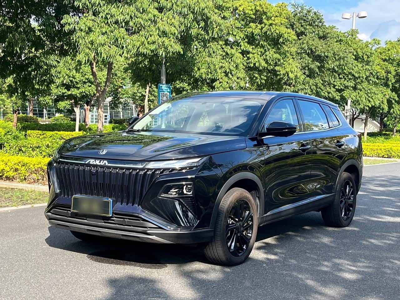 2025 Power 1.5T Luxury