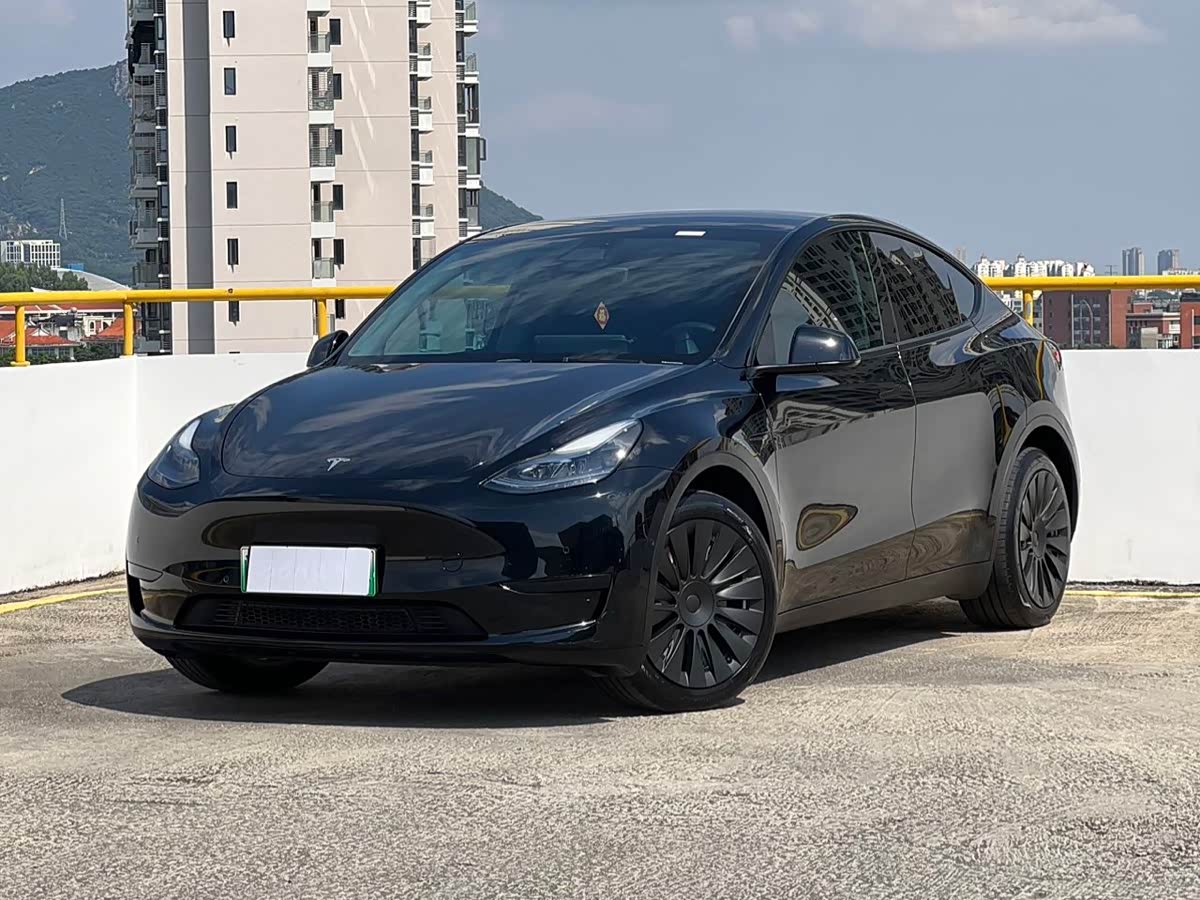 Model Y 2021 Standard Range RWD