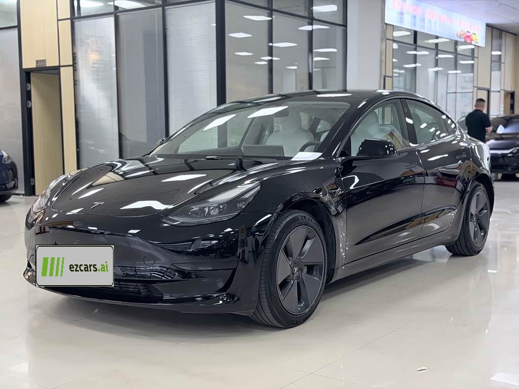 Model 3 2020 Standard Range RWD Upgraded