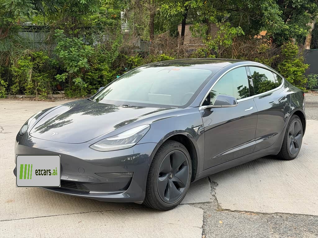 Model 3 Imported 2019 Long Range RWD