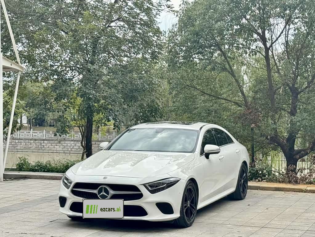 CLS 2023 CLS 300 Dynamic