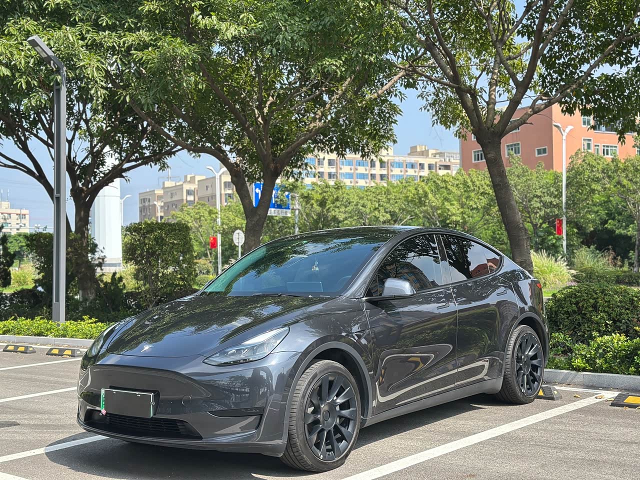 Model Y 2021 Standard Range RWD