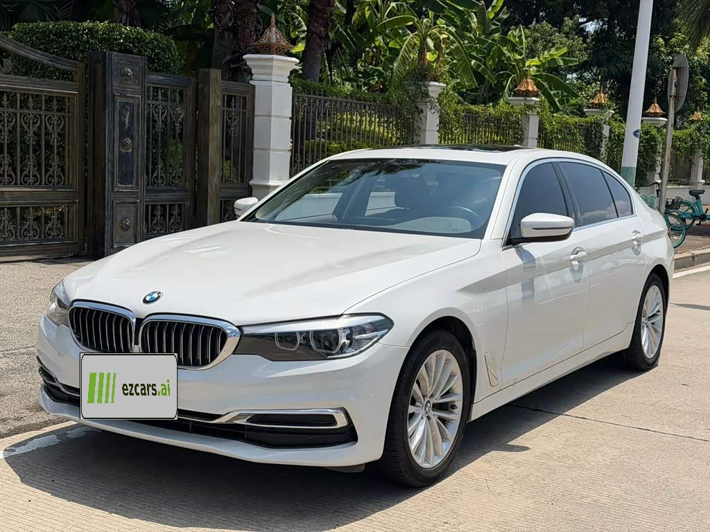 BMW5 Series 2020 525Li Luxury