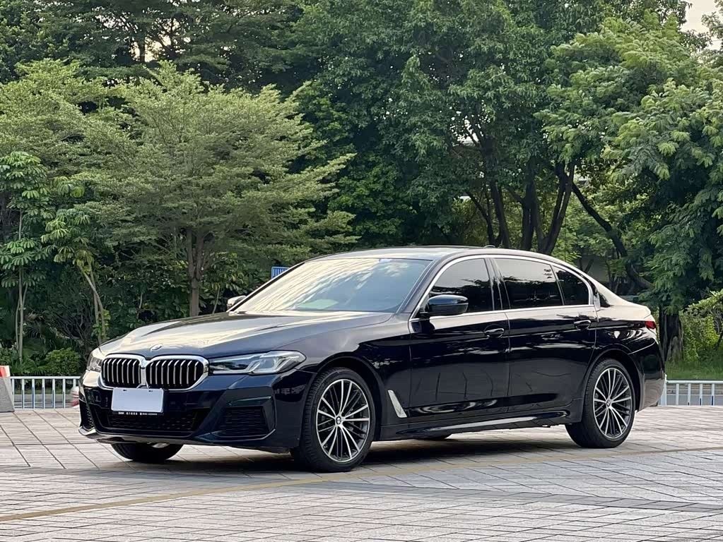 BMW5 Series 2021 530Li Leading M Sport Package