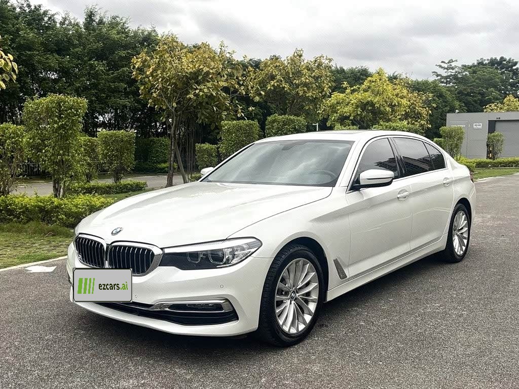 BMW5 Series 2019 530Li Leading Luxury