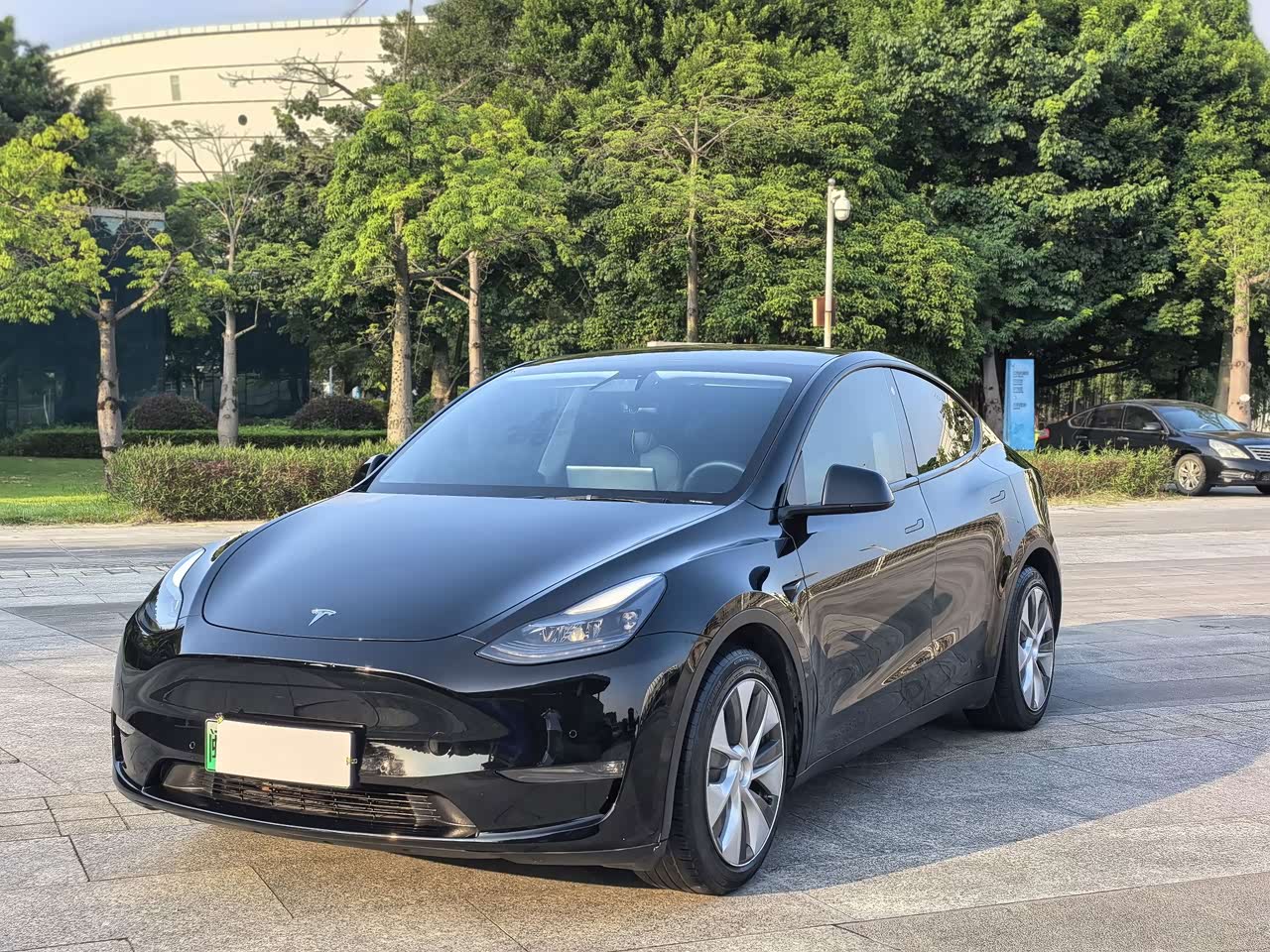 Model Y 2021 Standard Range RWD