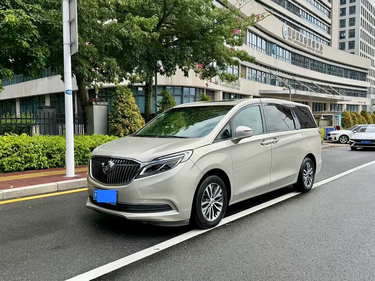 GL8 2017 ES 28T Flagship China V