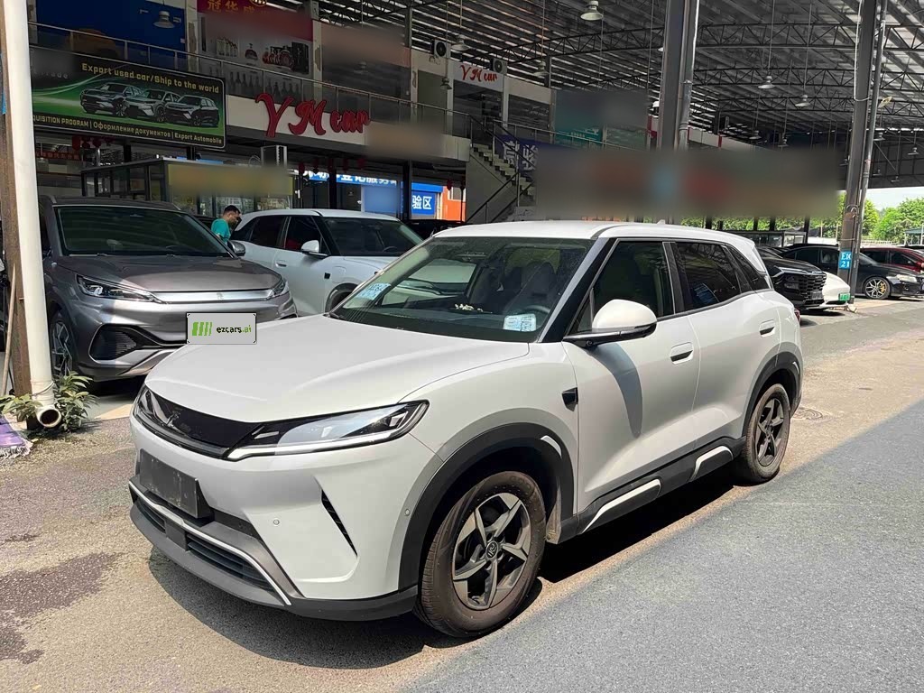 Yuan UP 2025 ADAS 401KM