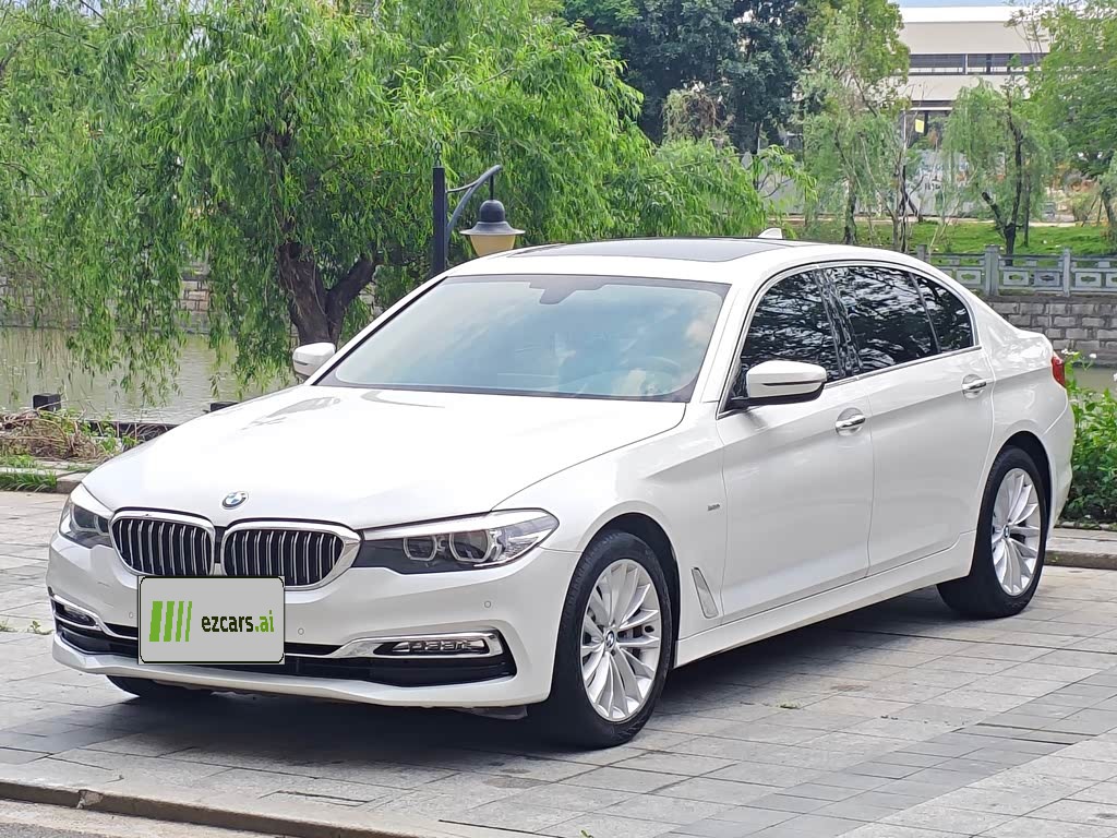 BMW5 Series 2018 530Li xDrive Luxury