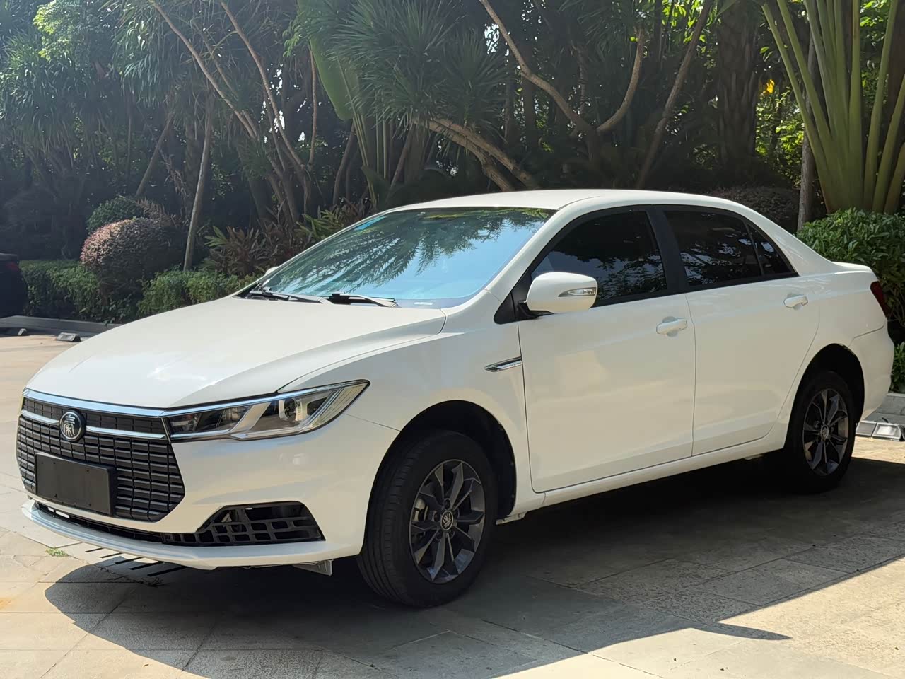 Qin EV 2021