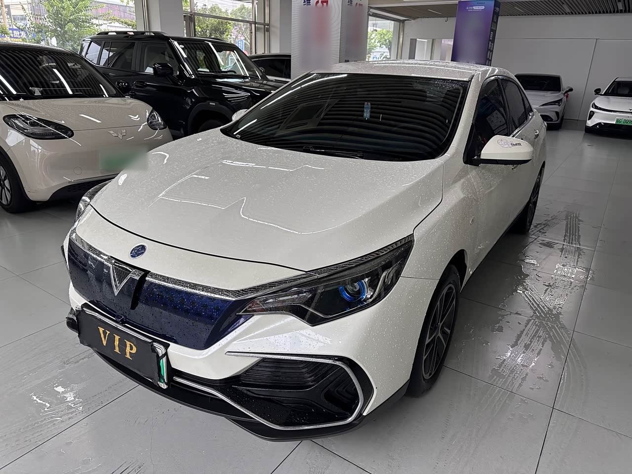 D60EV 2022 Standard Range