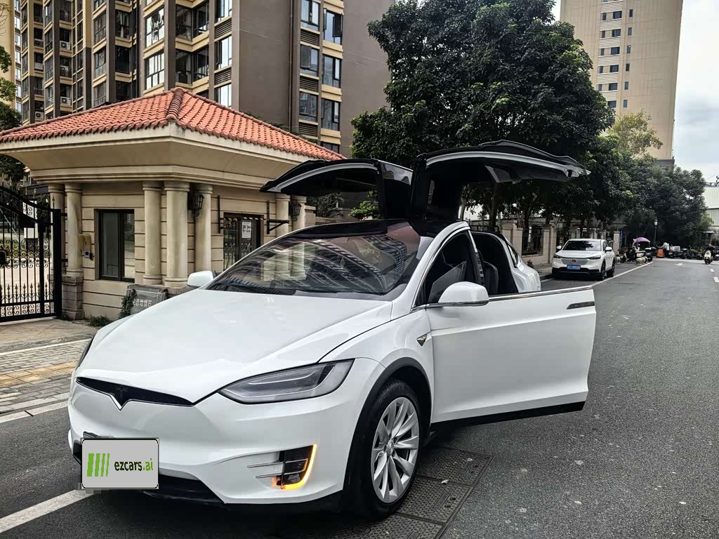 Model X 2019 Long Range