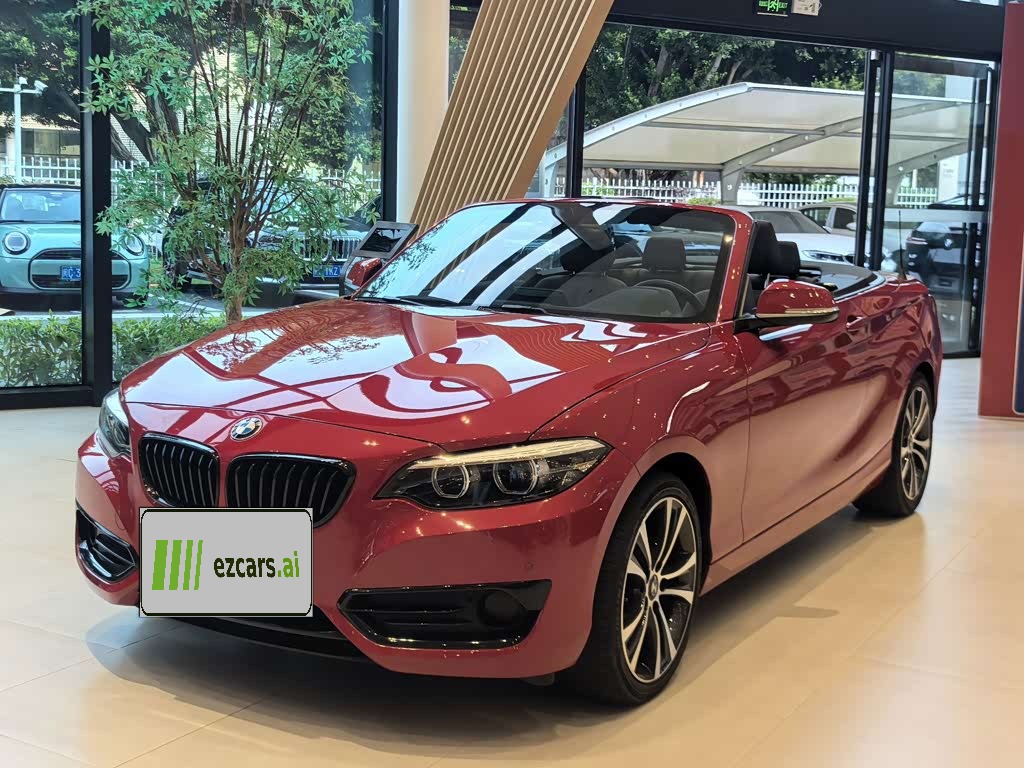 2 Series Imported 2021 225i 4-Door Coupe M Sport Package