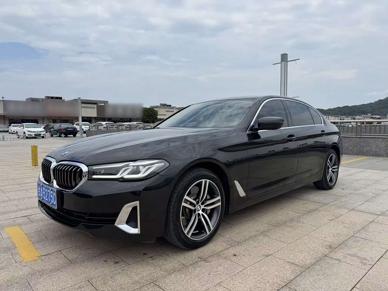 BMW5 Series 2021 530Li Leading Luxury