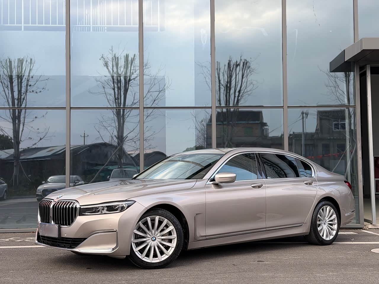 BMW7 Series 2019 730Li Luxury