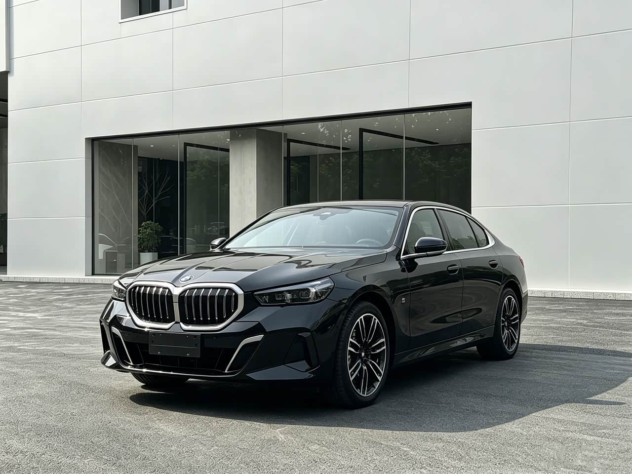 BMW5 Series 2025 530Li Leading Luxury