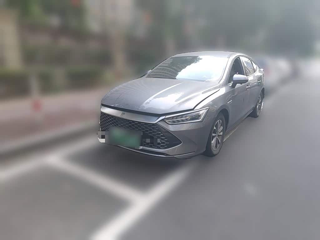 Qin PLUS 2024 Honor DM-i 55KM Leading