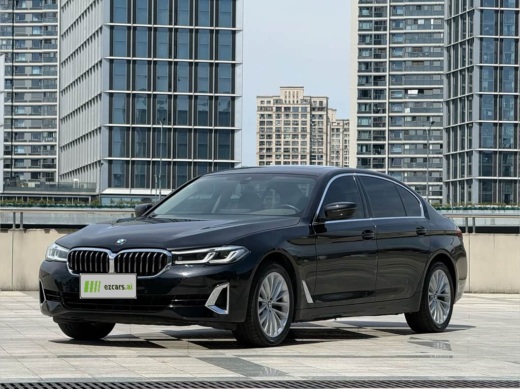 BMW5 Series 2022 525Li Luxury