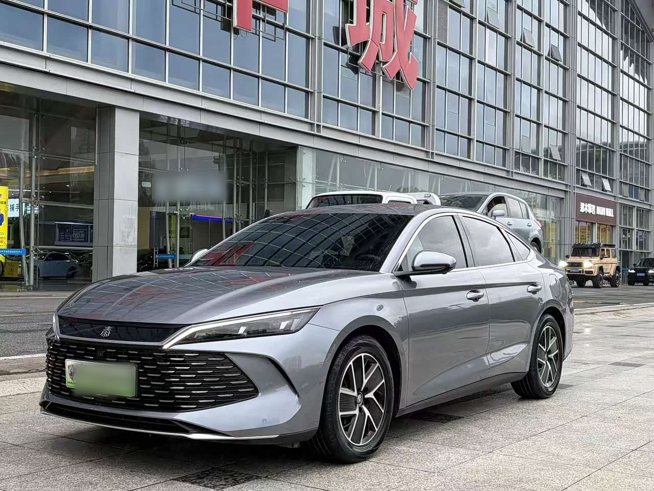 Qin L 2024 DM-i 80KM