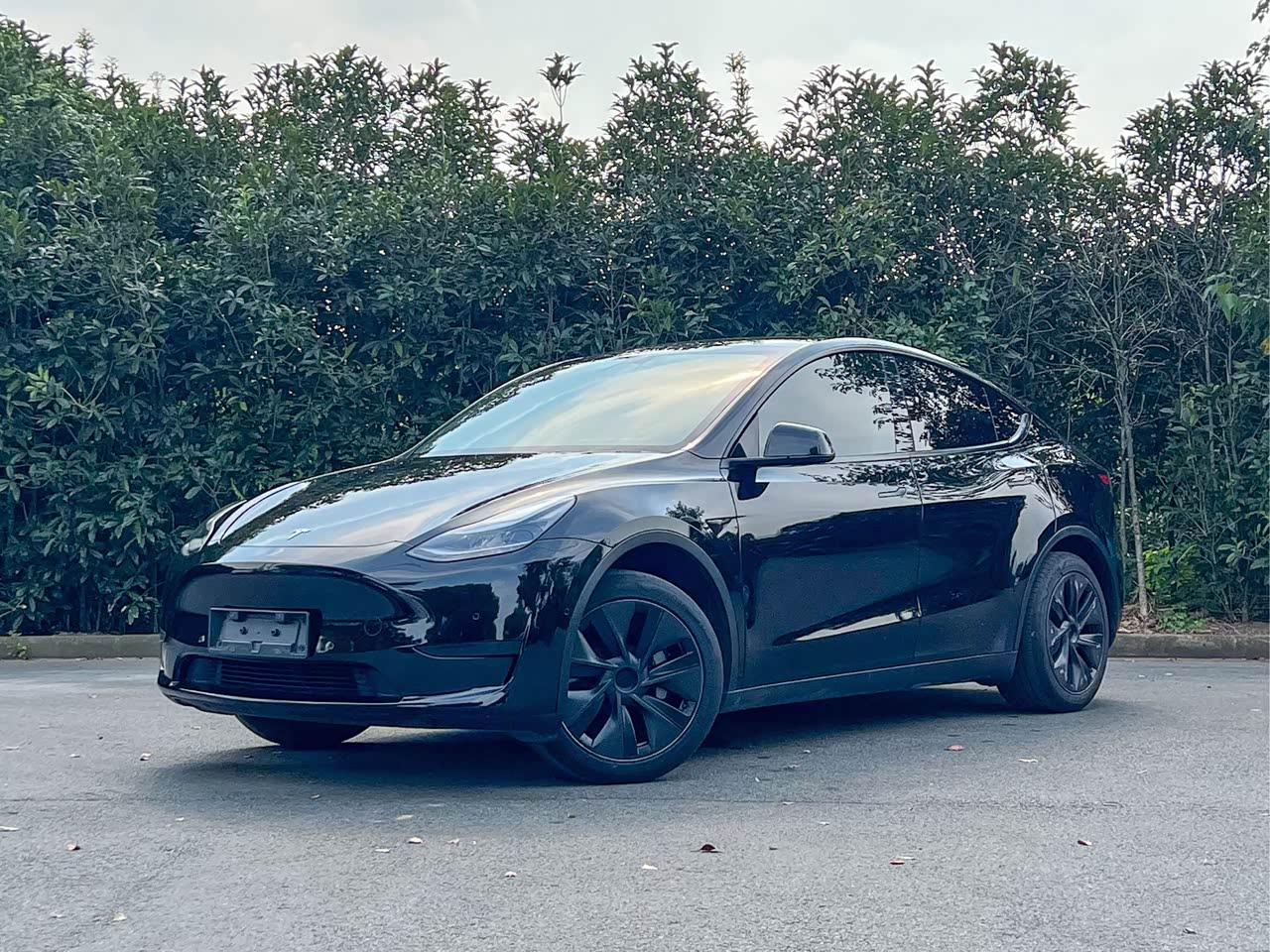 Model Y 2023 RWD