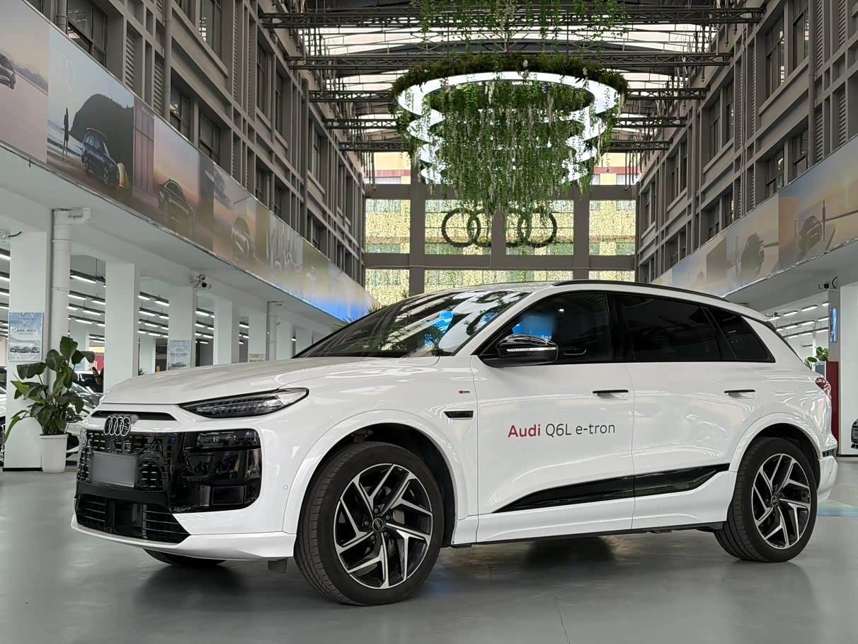 AudiQ6L e-tron 2026 Pilot