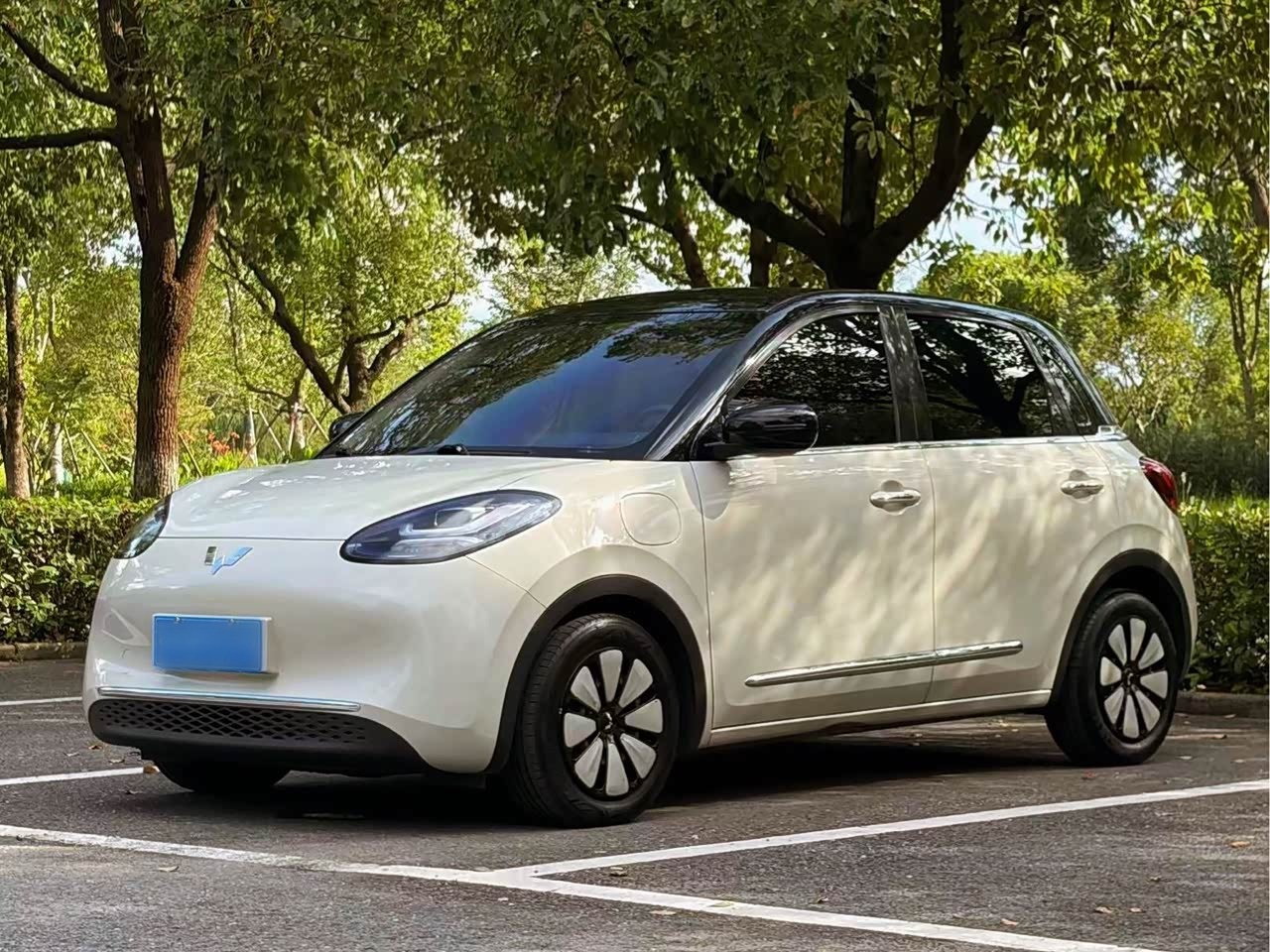 Bingo 2023 333km +