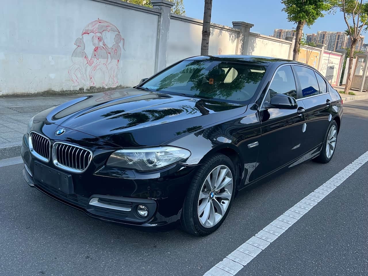 BMW5 Series 2017 525Li Leading